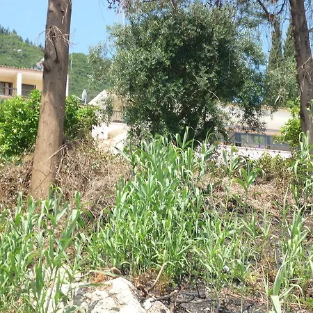 Karina מלון 2*