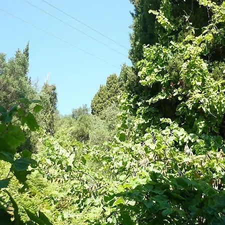 Karina Hotel Benitses (Corfu)