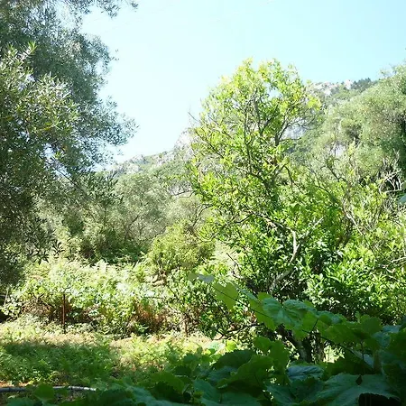 Karina 2* Benitses (Corfu)