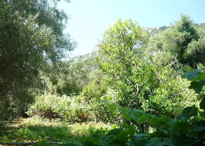 Karina 2* Benitses (Corfu)